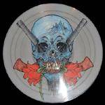 Metallica : Evil Never Dies